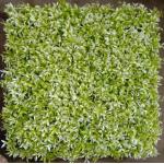 Artificial Wall Grass PE Material Customizable For Dust And Dirt Prevention In Indoor And Outdoor Spaces for sale