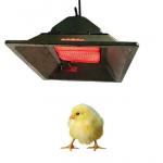 4 Model Chicken Brooder Gas Heater LPG NG Biogas Gas Brooder In Poultry for sale