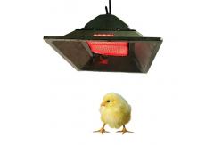 China 4 Model Chicken Brooder Gas Heater LPG NG Biogas Gas Brooder In Poultry supplier