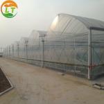 Multi Span Polytene Film Agricultural Greenhouse Gutter Height 3-6m for Shading System for sale