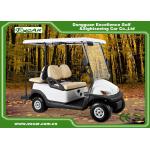Comfortable EXCAR Golf Power Carts , Battery Operated Golf Buggy With 2 Seater for sale