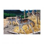 PET 50*70cm 3D Lenticular Pictures , Custom 3d Lenticular Photo With Frame