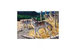 China PET 50*70cm 3D Lenticular Pictures , Custom 3d Lenticular Photo With Frame supplier