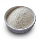 papain carica papaya 300USP-6000USP Raw material planting area, protease manufacturer, food grade pharmaceutical grade customization for sale