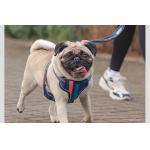 Reflective Dog Harness Matching Leash S-XL Cat Harness And Leash Set