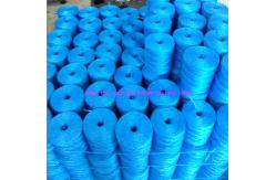 China UV Additive PP Tomato Tying Twine With Hook , Agricultural Twine Packing Rope supplier