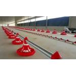Automatic Feeding System For Poultry Chicken Farm Equipment Chicken Drinker And Feeder
