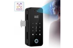 China Smart Access Control Digital Door Lock Tuya Face Recognition Door Lock supplier