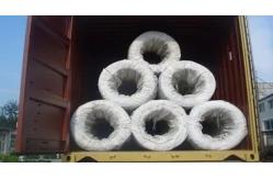 China Binding Bwg18 Electro Galvanized Iron Wire 1kg Coil Weight supplier