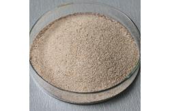 China Subtilisins Proteolytic Enzymes 50000U/G-500000U/G For Protein Peptide supplier