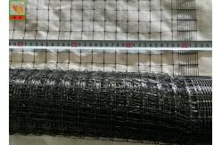 China Black Plastic Poultry Netting, Plastic Chicken Mesh Fence, Light Weight, PP Materials, 40GSM supplier