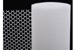 China Reinforced Plastic Wire Mesh 1mm 2mm PP PE Material supplier