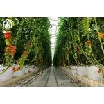 Energy Efficient Tropical Multispan Greenhouse With Temperature And Humidity Regulation