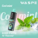 8000Puffs Disposable Vape Pen with Paypal Payment Method and 85g Weight for sale