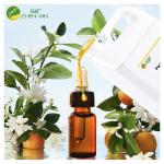 Fragrance Oil Concentrated Orange Fragrance For Perfume Making for sale