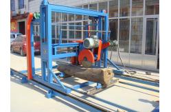 China DS2000 Automatic Double Blades Circular Sawing Swing Blade Saw Mill Machine supplier