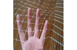 China 2.5cm Anti Bird Net For Fruits And Vegetables Protection supplier