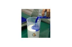 China White Condensation RTV2 Silicone Moulding Rubber for Resin Mold Making supplier