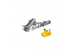 China 50T/H Industrial Mango Processing Line Automatic Mango Processing Plant Equipment supplier