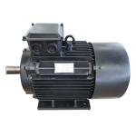 Maintenance Free Rare Earth Magnet Alternator , PMAC Generator for sale