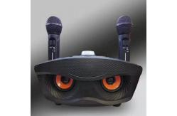 China 30W Family Karaoke Multifunctional Wireless Speak With Mic Recorder supplier