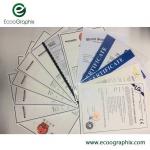 EcooSetter T400Q 256CH Offset Printing 25pph Thermal CTP Machine