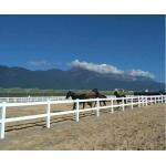 Easily Assembled 2 Rails 3 Rails 4 Rails White Plastic Horse Ranch Fencing for sale
