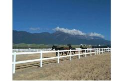 China 3 Rails 4 Rails White Vinyl Farm Fence For Livestock supplier