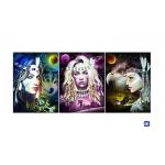 Film Lamination Lenticular Flip , 3D Triple Transition Lenticular Poster 12x17 Inches for sale
