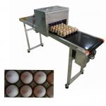 12V 4A High Performance Code Printing Machine With Food Grade Ink For Eggs  for sale