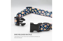 China Breathable Dog Collar Harness And Leash Set Printed Customized Harness Leash Set supplier