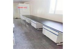 China Customizable  Lab Furnitures Design for Polishing and Custom Design Options supplier