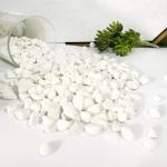 Flower Gultivation Hydroponic Paving Small Stones Pebbles Ceramsite for sale