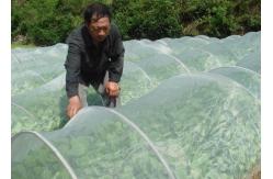 China 40x25mesh Plastic Wire Mesh 30-300m White Agricultural Greenhouse Insect Screen supplier