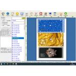Daqin Laptop / Video Games Pc Beauty Software Customized Stickers