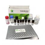 LSY-10023 Gentamicin ELISA assay antibiotic residue test kit manufactured by Shenzhen Lvshiyuan Biotechnology for sale