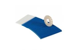 China                  Customized Good Stability Plastic Belt Conveyor Eels Fried Slice Processing              supplier