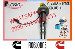 China Fuel Injector Assembly 4955526 Y431KO5199 4928104 F0OBLOJ014 F00BLOJ013 For Qsk19 Engine supplier
