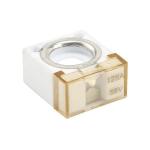M8 Stud Auto Battery Terminal Fuse 125A 58V for sale