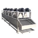 Continuous Fruit And Vegetable Processing Line Dehydrated Dried Equipment for sale