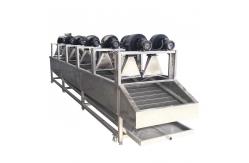 China Continuous Fruit And Vegetable Processing Line Dehydrated Dried Equipment supplier