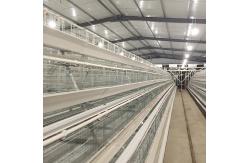 China A Type Battery Cage System Layer Chicken Chicken Layer Cage For Sale supplier