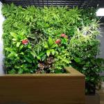 Decorative Anti UV Vertical Greening , Artificial Plant Wall HAIHONG for sale