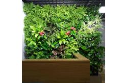 China Decorative Anti UV Vertical Greening , Artificial Plant Wall HAIHONG supplier