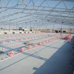 Interlocking Broiler Floor System for Easy Installation High Pressure Cleaning Standard for sale