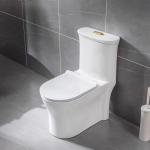 S Trap Siphonic One Piece Toilet Gravity Flushing Bathroom Suites for sale