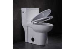 China 1 One Piece Elongated Toilet 15 Height Ceramic Wc Syphon Seamless Porcelain supplier