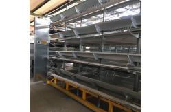 China 3PH 1mm Hot Galvanized Steel Poultry Egg Collection System SGS Approval supplier