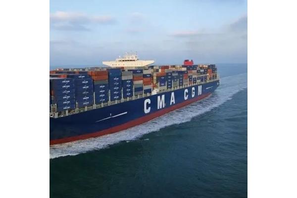 Insurance Available LCL Container Shipping Services With Varying Payment Methods