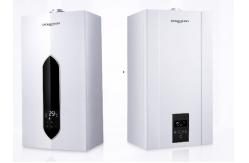 China Combi Wall Installed Gas Boiler With Variable Warranty supplier